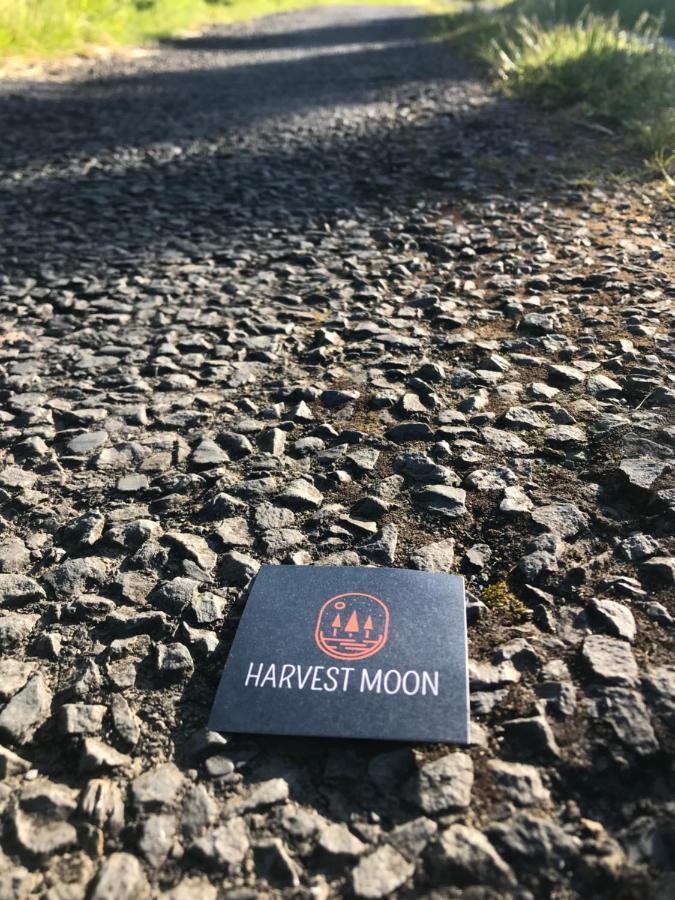 Harvest Moon Bed & Breakfast Doolin Bagian luar foto